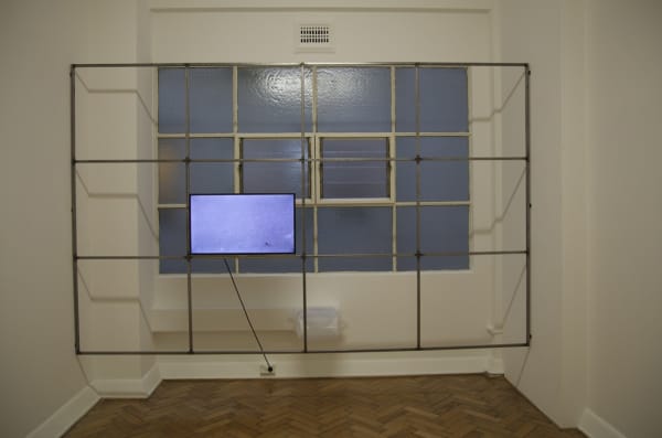 Susan Jacobs, Snow/Spider (free will within certain limitations), 2014