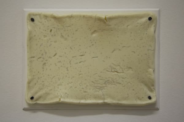 Susan Jacobs, Yield (milk plaque), 2014