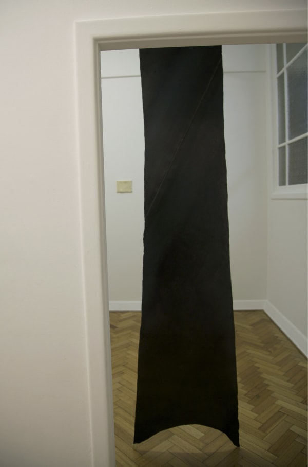 Susan Jacobs, Yield (oxhide), 2014