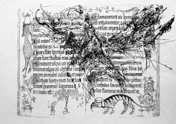 ZIlverster (Goodwin & Hanenbergh, A boy steals cherries, 2010-15