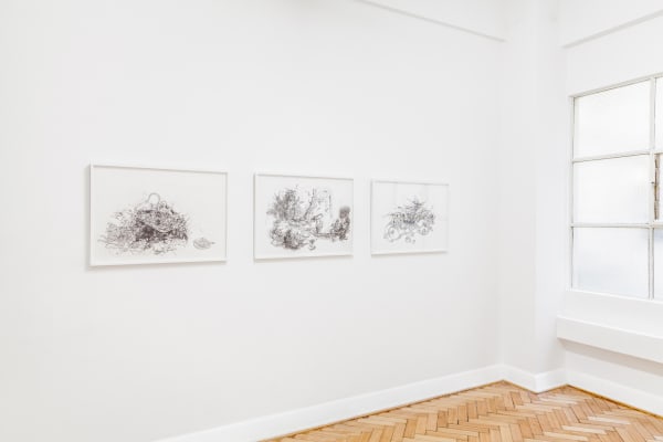Zilverster (Goodwin & Hanenbergh), 2015