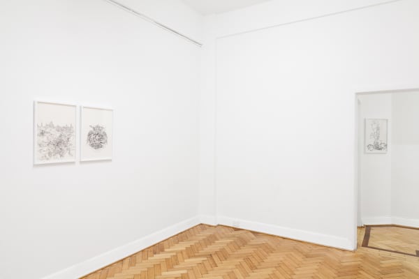 Zilverster (Goodwin & Hanenbergh), 2015