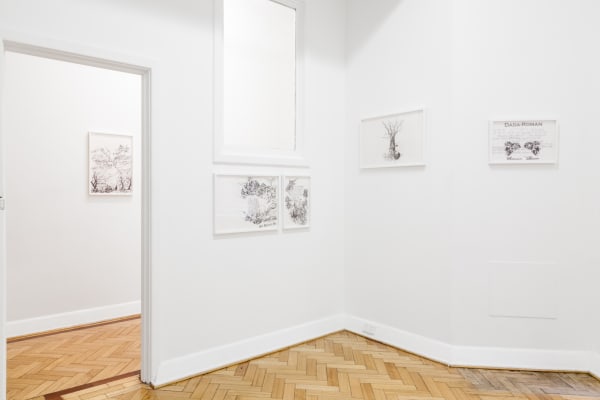Zilverster (Goodwin & Hanenbergh), 2015