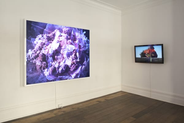 Kit Wise, Explosion, 2010 Installation view Photo: Christian Capurro