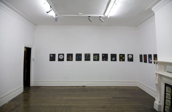 Kate Daw, In Between Days, 2011 Installation view