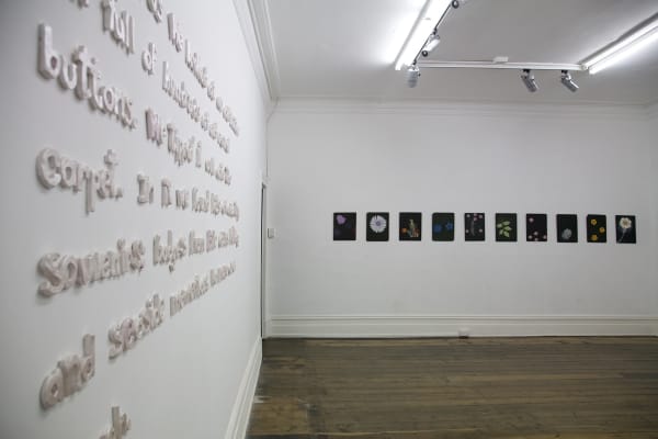 Kate Daw, In Between Days, 2011 Installation view