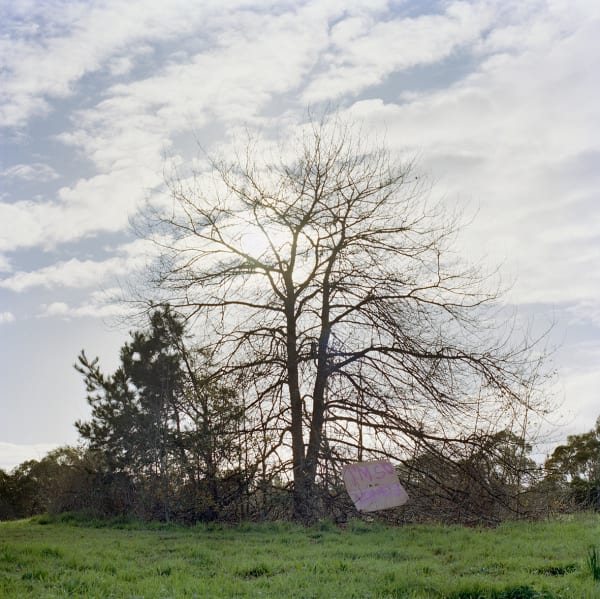 Kiron Robinson, One, 2015