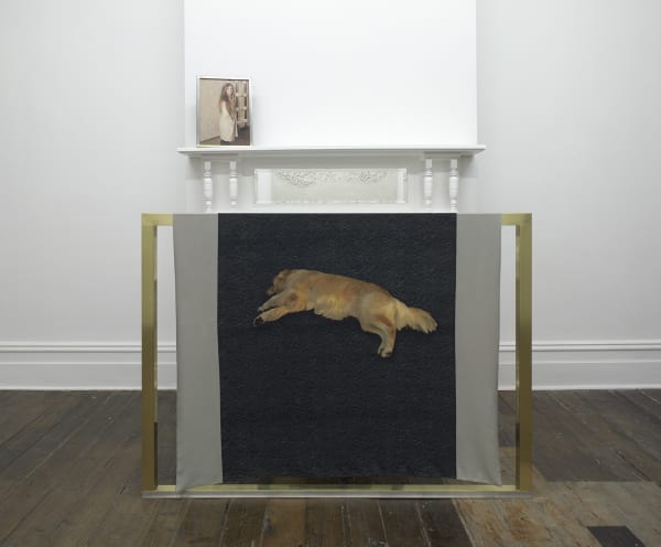 Fiona Abicare, Jimmy 2013