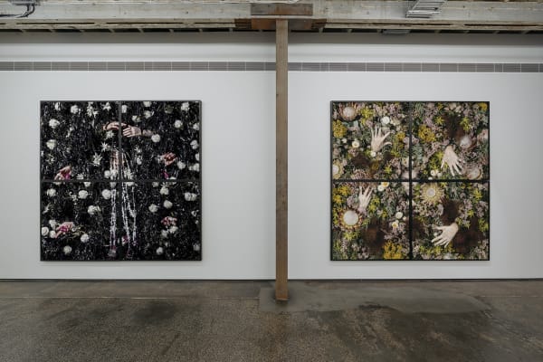Christian Thompson, Limerence, installation view Photo: Lauren Dunn
