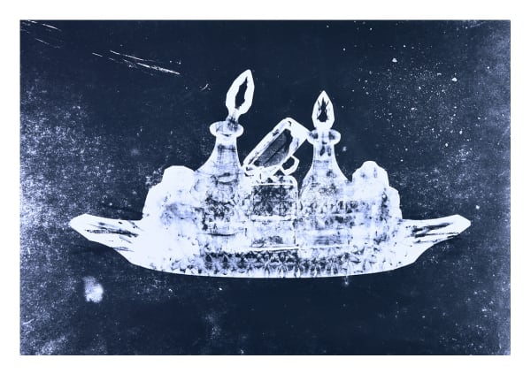 Lani Seligman: Marrow Land Salon Projects