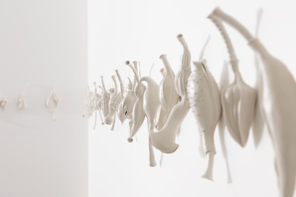 Photography By Simon Hewson