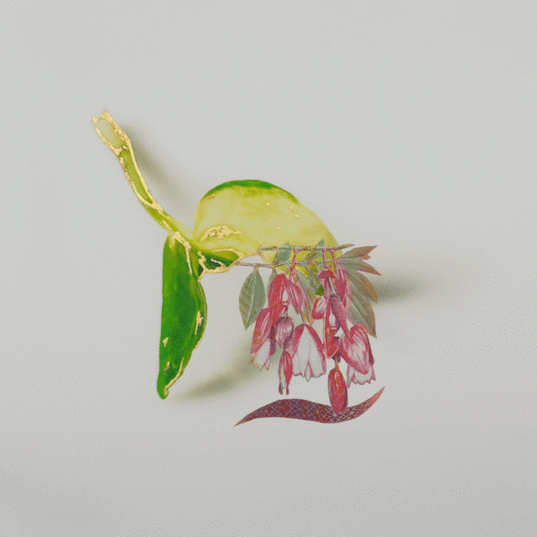 Summer Group Exhibition