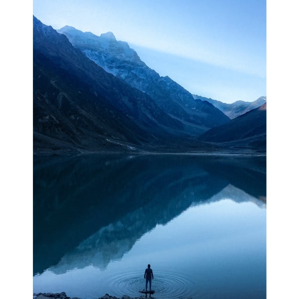 Finalist - 2024 Environmental Art & Design Prize