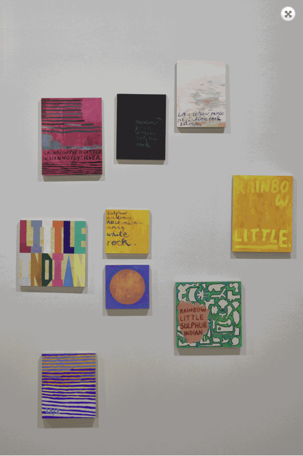 Fernando do Campo, 365 Daily Bird Lists (January 3rd 2019 – January 2nd 2020) 2019 – CAT Gallery installation view 2021 Photo: Rémi Chauvin