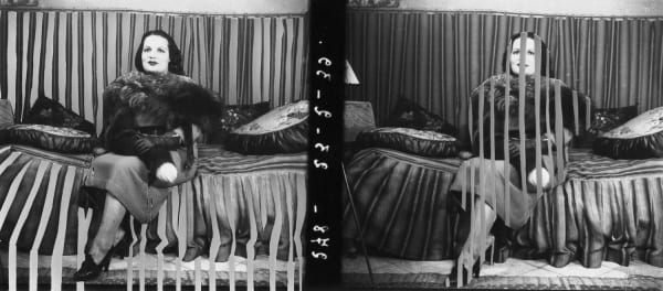 Yesmine Ben Khelil, Une femme, un tigre et une cage (I), 2015