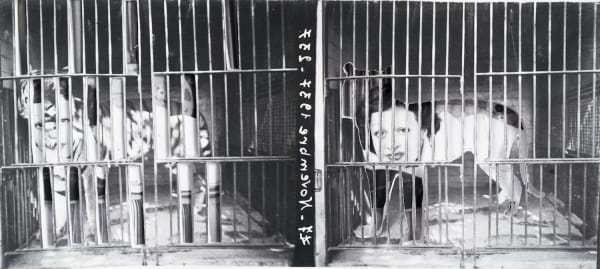 Yesmine Ben Khelil, Une femme, un tigre et une cage (II), 2015