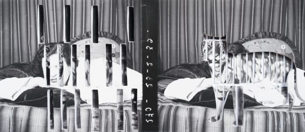 Yesmine Ben Khelil, Une femme, un tigre et une cage (III), 2015