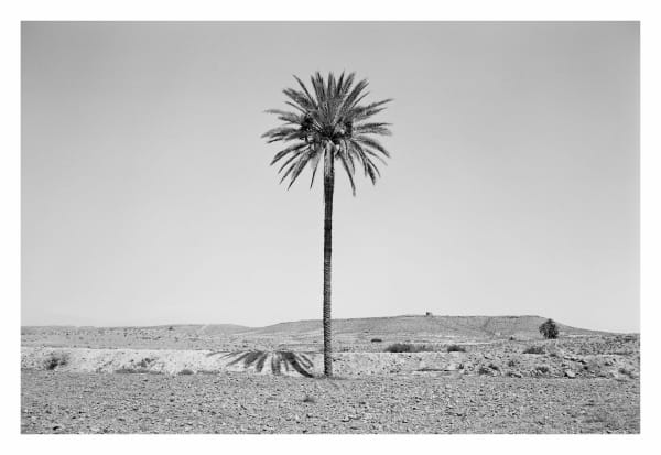 Jellel Gasteli, Tataouine 28, 1996