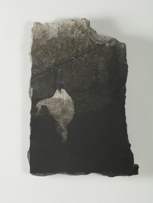 Catalina Swinburn, Oscillating Identity No.IV, 2016