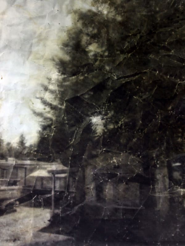 Eva Nielsen, Aphakie No. III, 2017