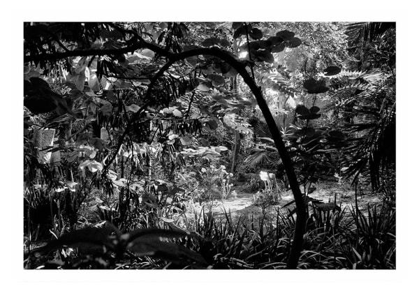 Jellel Gasteli, Hammamet, 1996