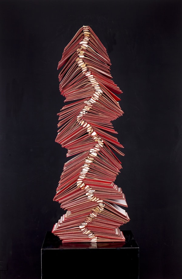 Catalina Swinburn, Archaic Contingency, 2020