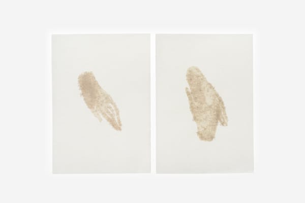 Ismaïl Bahri, Hand (diptych), 2020