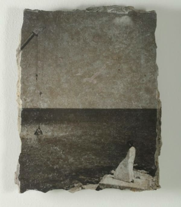 Catalina Swinburn, Oscillating Identity No.III, 2016