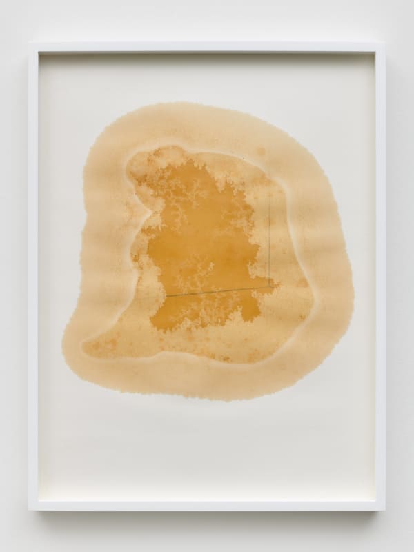 Yazid Oulab Les Orants Habités Par Leur Espace No.II, 1998 Plant oil and graphite Bristol paper 58h x 44w cm each (set of six) (YO-000006)