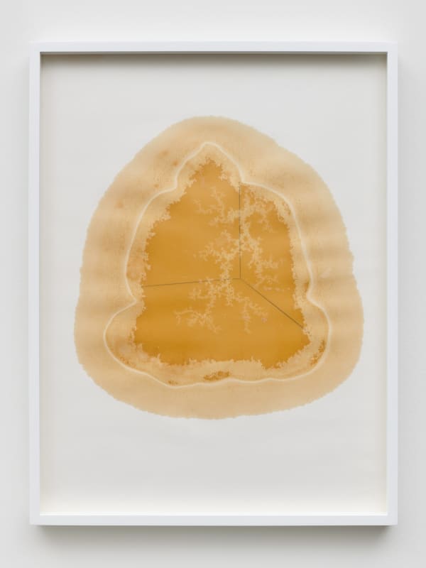 Yazid Oulab Les Orants Habités Par Leur Espace No.VI, 1998 Plant oil and graphite Bristol paper 58h x 44w cm each (set of six) (YO-000023)