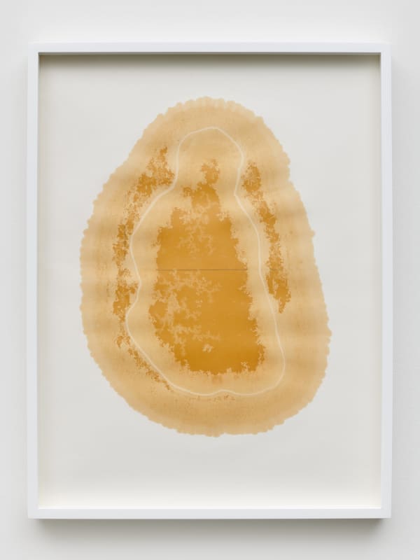 Yazid Oulab Les Orants Habités Par Leur Espace No.V, 1998 Plant oil and graphite Bristol paper 58h x 44w cm each (set of six) (YO-000037)
