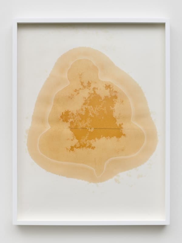 Yazid Oulab Les Orants Habités Par Leur Espace No.III, 1998 Plant oil and graphite Bristol paper 58h x 44w cm each (set of six) (YO-000039)