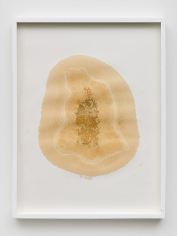 Yazid Oulab Les Orants Habités Par Leur Espace No.I, 1998 Plant oil and graphite Bristol paper 58h x 44w each (set of six) (YO-000085)