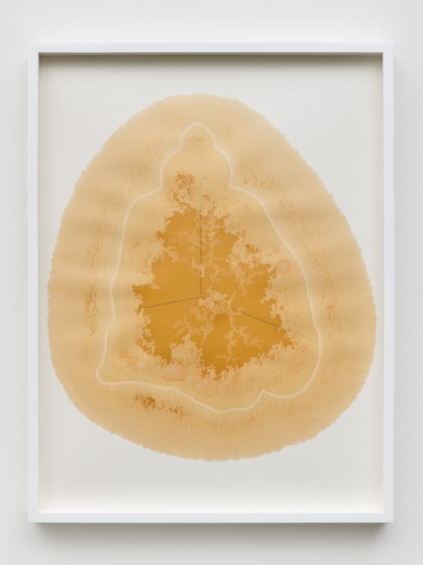Yazid Oulab Les Orants Habités Par Leur Espace No.IV, 1998 Plant oil and graphite Bristol paper 58h x 44w each (set of six) (YO-000087)