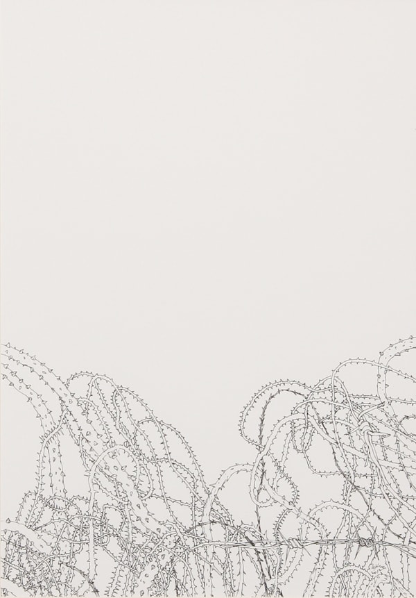 CHANDRAGUPTHA THENUWARA Thorns VI,2012 Ink on paper 41 x 29 cm 16 1/8 x 11 3/8 in