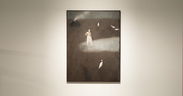 Hazy Existences Chandra Bhattacharjee