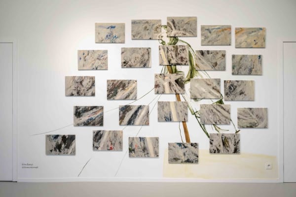 Wunderwalldorabenyo 0000 3