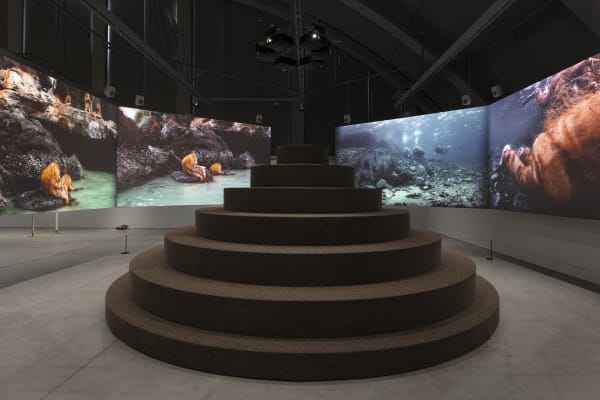 Tori Wrånes. BIG WATER, Helsinki Art Museum, Finland, 2025.