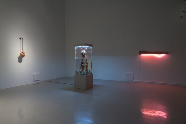 uncontained: categories always leak, CCA Wattis, San Francisco, 2023