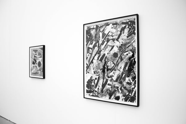 Fay Ray Untitled Miami 2016 Shulamit Nazarian 3