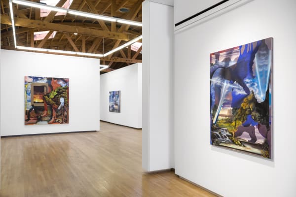 Contours Of The Vast Annie Lapin Shulamit Nazarian 11