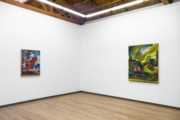 Contours Of The Vast Annie Lapin Shulamit Nazarian 13