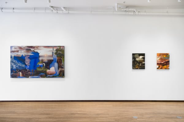 Contours Of The Vast Annie Lapin Shulamit Nazarian 17