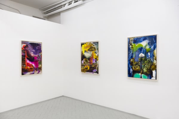 Contours Of The Vast Annie Lapin Shulamit Nazarian 19