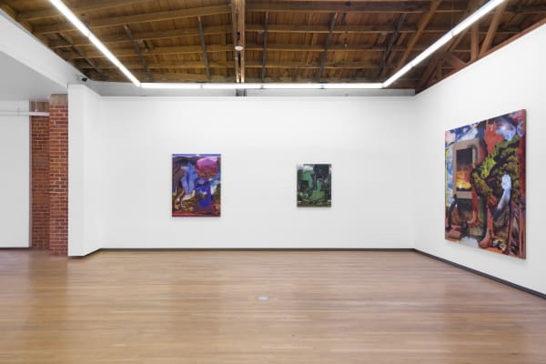 Contours Of The Vast Annie Lapin Shulamit Nazarian 4