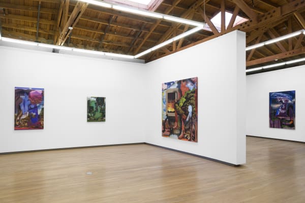 Contours Of The Vast Annie Lapin Shulamit Nazarian 6