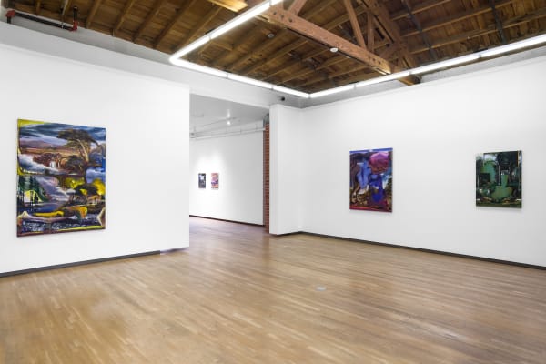 Contours Of The Vast Annie Lapin Shulamit Nazarian 7