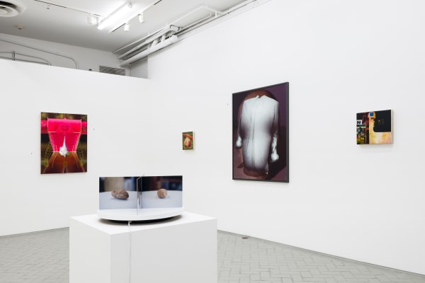 The future perfect will have arrived, curated by Bridget Mullen, January 7 – February 10, 2023, Shulamit Nazarian, Los Angeles.