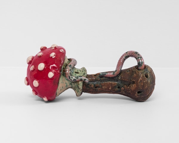 Mushroombone Charlessnowden Nazariancurcio