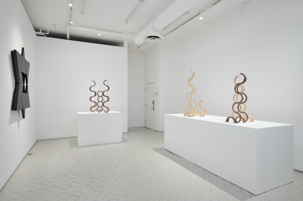 Reuven Israel: One Eye Shut, July 27-August 31, 2024.